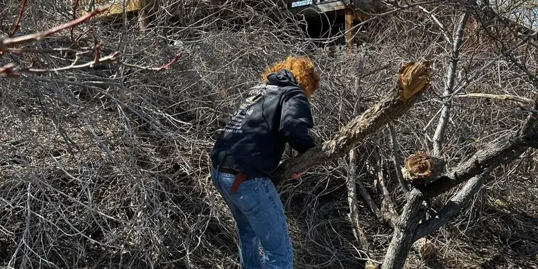 Yard Waste Removal