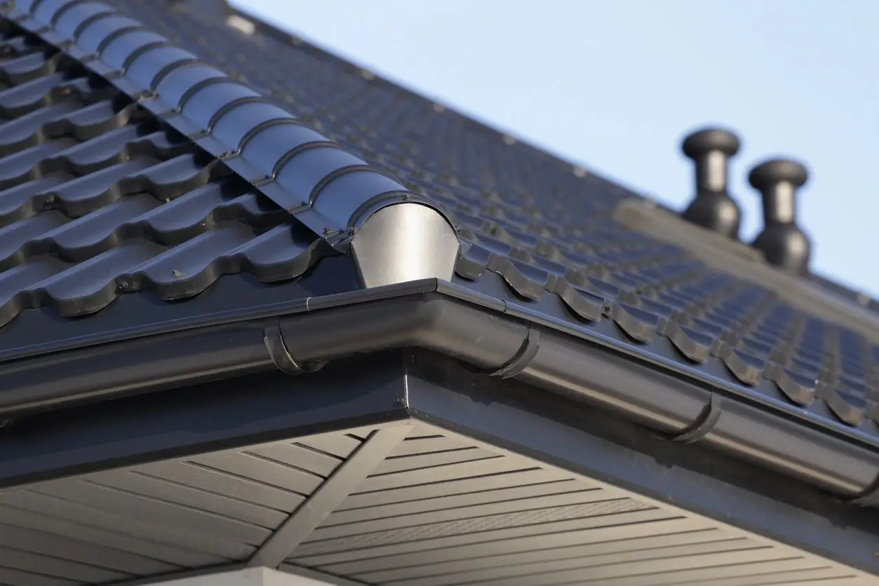 Gutter Cleaning