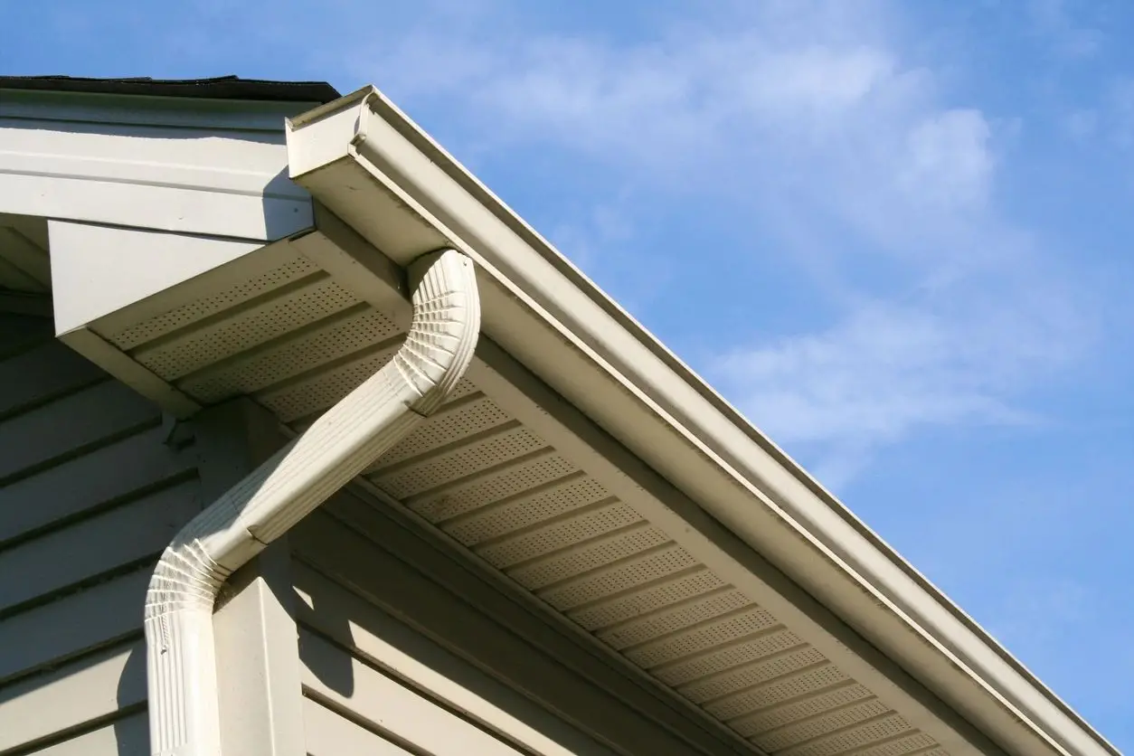 Gutter Cleaning