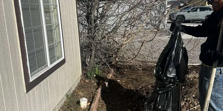 Yard Waste Removal