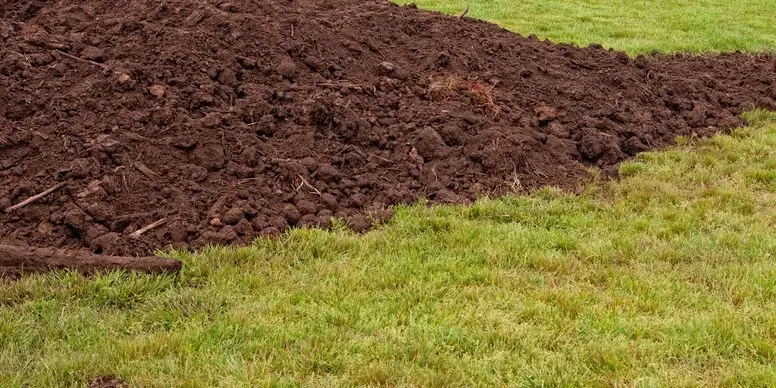 Yard Waste Removal